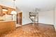 125 Pheasant, Countryside, IL 60525