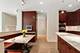 421 E North Water, Chicago, IL 60611