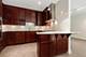 421 E North Water, Chicago, IL 60611