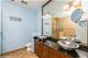 1341 S Indiana Unit D, Chicago, IL 60605