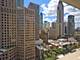 1000 N Lake Shore Unit 2003, Chicago, IL 60611