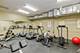 811 S Lytle Unit 207, Chicago, IL 60607