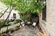 525 N Ada Unit 11, Chicago, IL 60642