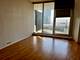 300 N State Unit 5902, Chicago, IL 60654