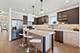 4516 S Indiana Unit 3, Chicago, IL 60653