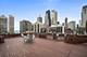 20 E Cedar Unit 14C, Chicago, IL 60611