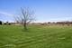 2943 Brahms, Woodstock, IL 60098