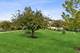 2865 N Augusta, Wadsworth, IL 60083