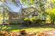 1026 Forest, Lemont, IL 60439