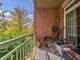 132 W Johnson Unit 207, Palatine, IL 60067