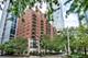 1250 S Indiana Unit 1209, Chicago, IL 60605