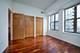 1250 S Indiana Unit 1209, Chicago, IL 60605