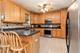 1411 Blume, Elgin, IL 60124