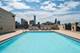 10 E Delaware Unit 28C, Chicago, IL 60610