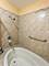 1439 N Springfield, Chicago, IL 60651