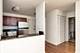 222 E Pearson Unit 203, Chicago, IL 60611