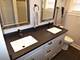 1032 W 110th, Chicago, IL 60643