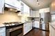 1511 S Indiana Unit J, Chicago, IL 60605