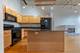 2001 S Calumet Unit 310, Chicago, IL 60616