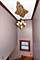 603 Campbell, Joliet, IL 60435