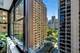 850 N Dewitt Unit 9B, Chicago, IL 60611