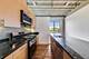 100 S Ashland Unit 204, Chicago, IL 60607