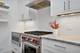1042 W Altgeld Unit 1S, Chicago, IL 60614