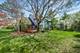 6804 Scotch Pine, Darien, IL 60561