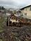 1608 S 5th, Maywood, IL 60153