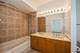 757 W 14th Unit 1B, Chicago, IL 60607