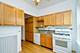 6211 N Greenview, Chicago, IL 60660