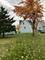 970 Front, Aurora, IL 60505