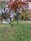 970 Front, Aurora, IL 60505