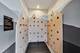 228 W Hill Unit PH3, Chicago, IL 60610