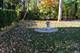 9010 Tripp, Skokie, IL 60076