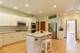 37W930 Jaguar, Elgin, IL 60124