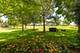 1999 Trevino, Vernon Hills, IL 60061
