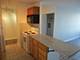 6171 N Sheridan Unit 809, Chicago, IL 60660