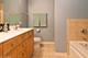 101 N Euclid Unit 19, Oak Park, IL 60301