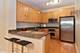 101 N Euclid Unit 19, Oak Park, IL 60301
