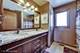 19641 Scarth, Mokena, IL 60448