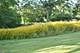 15 Wake Robin Unit 203, Woodridge, IL 60517