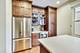1812 S Federal Unit E2, Chicago, IL 60616