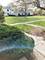 413 Standish, Bolingbrook, IL 60440