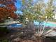 413 Standish, Bolingbrook, IL 60440