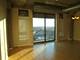 1550 S Blue Island Unit 1022, Chicago, IL 60608