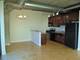 1550 S Blue Island Unit 1022, Chicago, IL 60608