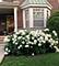2651 Goldenrod, Glenview, IL 60026