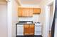 4521 N Malden Unit 308, Chicago, IL 60640