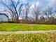 Lot #30 E Ellis, Libertyville, IL 60048